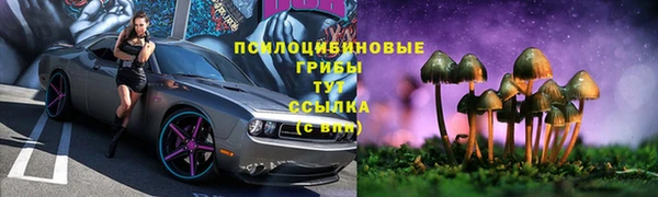прущая мука Магадан